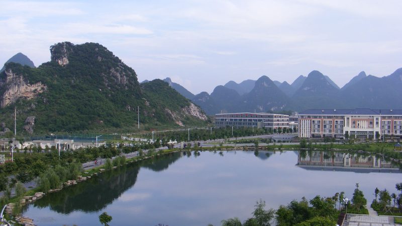 电子配件厂家代理：揭秘背后的供应链奥秘**