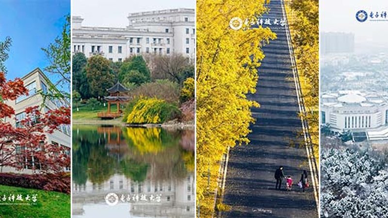 汽车电子质量检测：关键步骤与要点解析